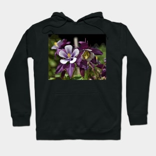 Spring Columbines in the Neighborhood Hoodie